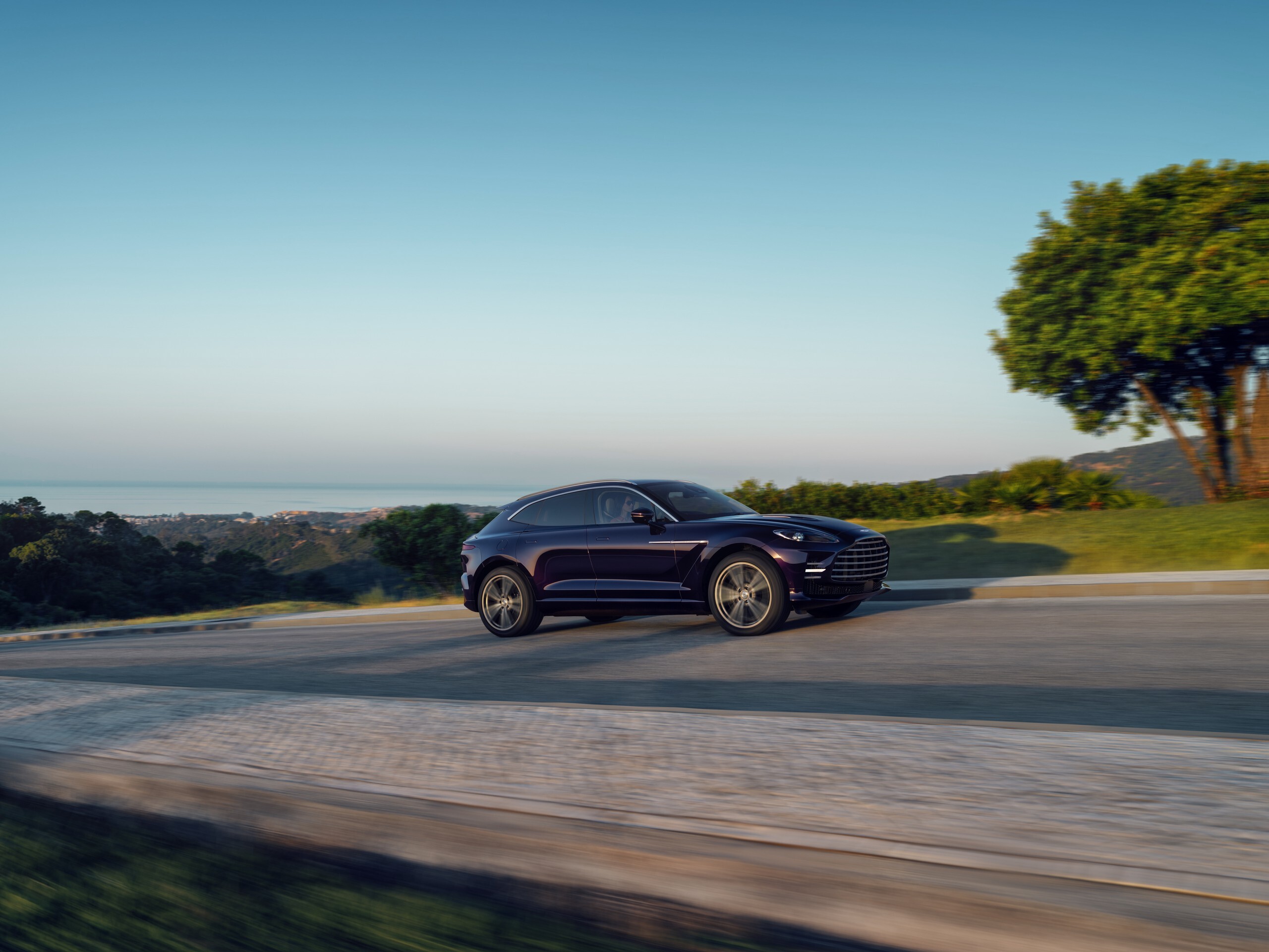 Aston Martin DBX GT New 10