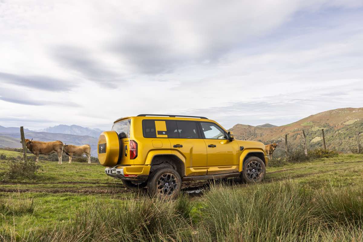 Bao 5 dinamico off road 24