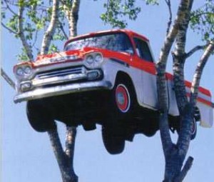 Y entonces el GPS te manda a lo alto de un árbol
