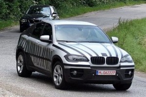 BMW Z2, más información