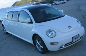 Volkswagen New Beetle Limusina, a subasta en eBay