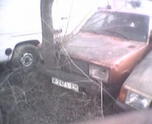 El coche al que le creció un árbol