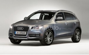 El Audi Q5 salta a la red