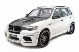 HAMMAN Flash EVO M