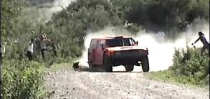 Robby Gordon: amante de los perros
