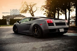 DMC Gallardo «Soho»