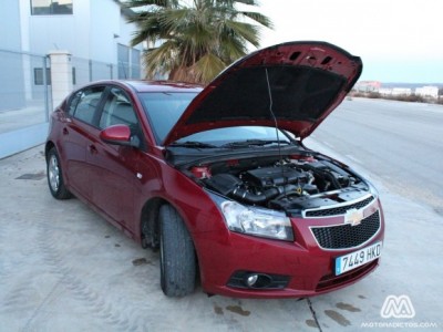 cruze-ma (28)