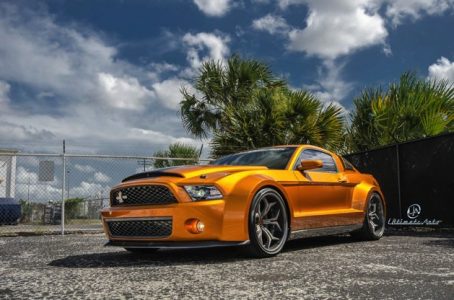 shelby-ma-super-snake-ultimate-2