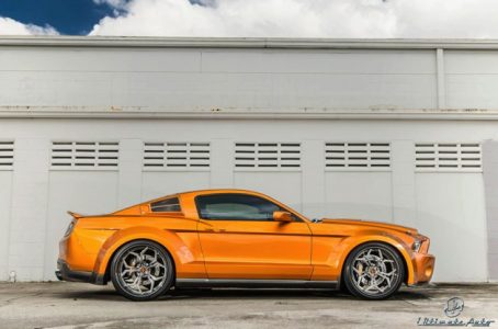 shelby-ma-super-snake-ultimate-4