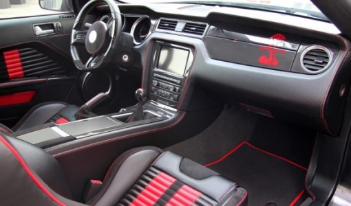 shelby-ma-anderson-germany (11)