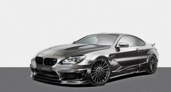 Hamann-Sjiny-2[4]