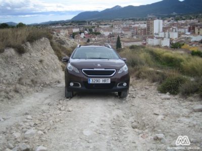 Peugeot2008_4353_wt