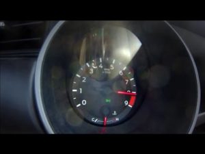 Vídeo: Ford Mustang Shelby GT350 y GT350R, el rugido de su V8 en acción