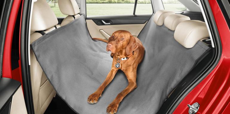 Skoda protege a tu perro con estilo en los asientos traseros 2