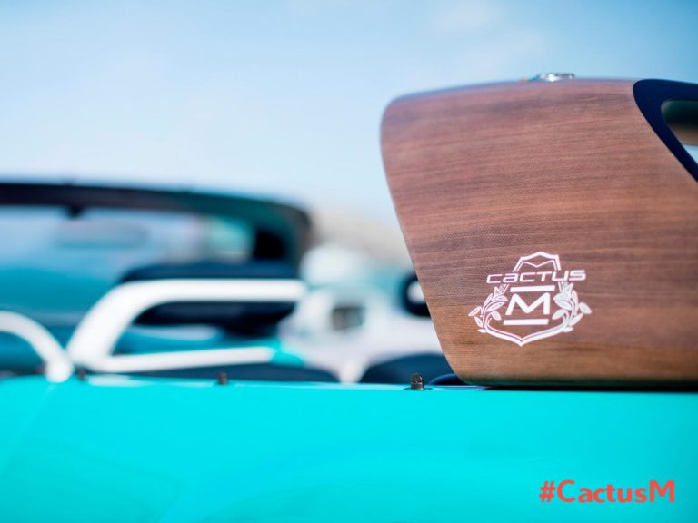 Nuevo anticipo oficial del Citroën Cactus Méhari