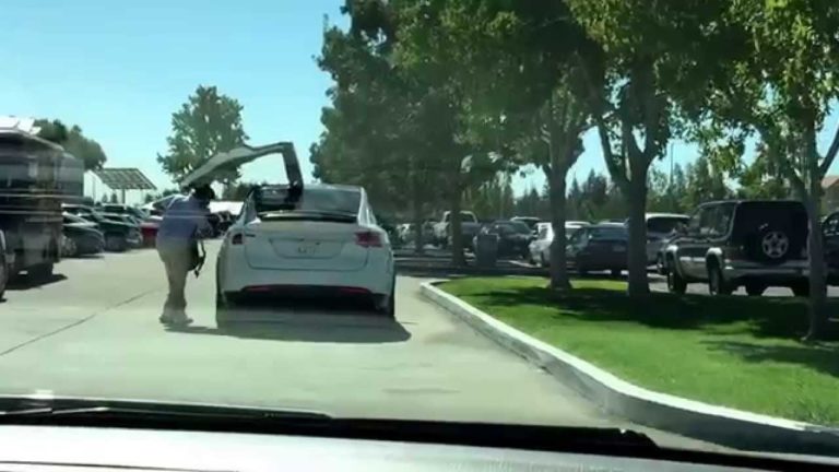 Vídeo: ¿Quieres ver las puertas traseras de tipo «Falcon Wings» del Tesla Model X?