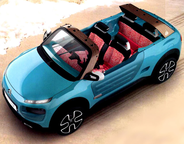 Citroen-Cactus-M-Concept-2