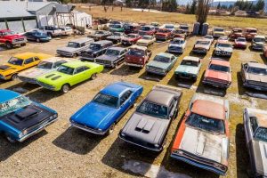 A la venta un terreno de dos hectáreas con más de 300 coches clásicos por 1,36 millones de euros: ¿El sueño de todo petrolhead?