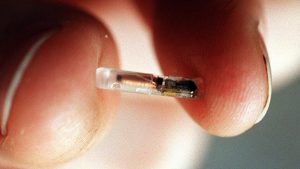 ¿Te imaginas arrancar tu coche gracias a un microchip implantado en tu mano? Ya es posible…