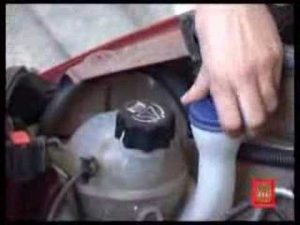 Cosas a hacer antes de iniciar un viaje