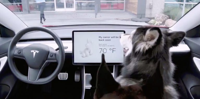 Tesla presenta el «Modo perro», la forma más segura de dejar a las mascotas en el habitáculo