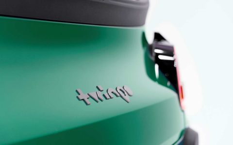 renault twingo verde 46