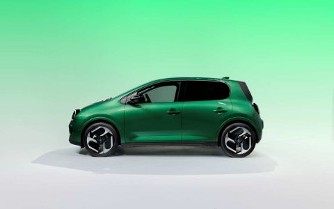 renault twingo verde 58