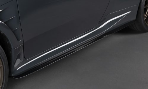 800 gryarismorizorr 008