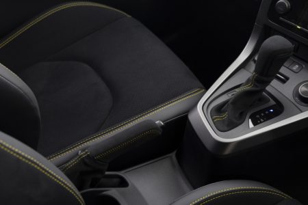 800 gryarismorizorr 015