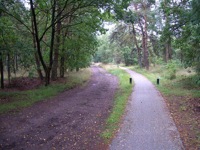 road3.jpg