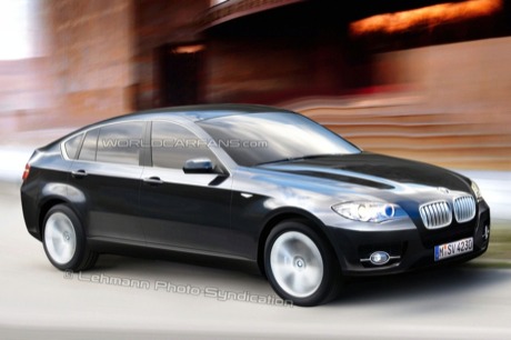 BMW PAS