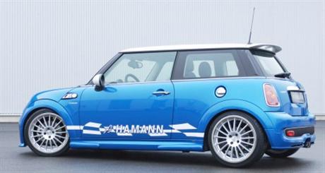 Mini Hamann