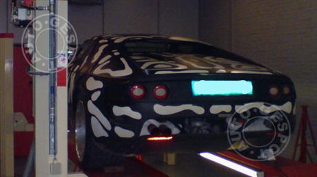 Lotus