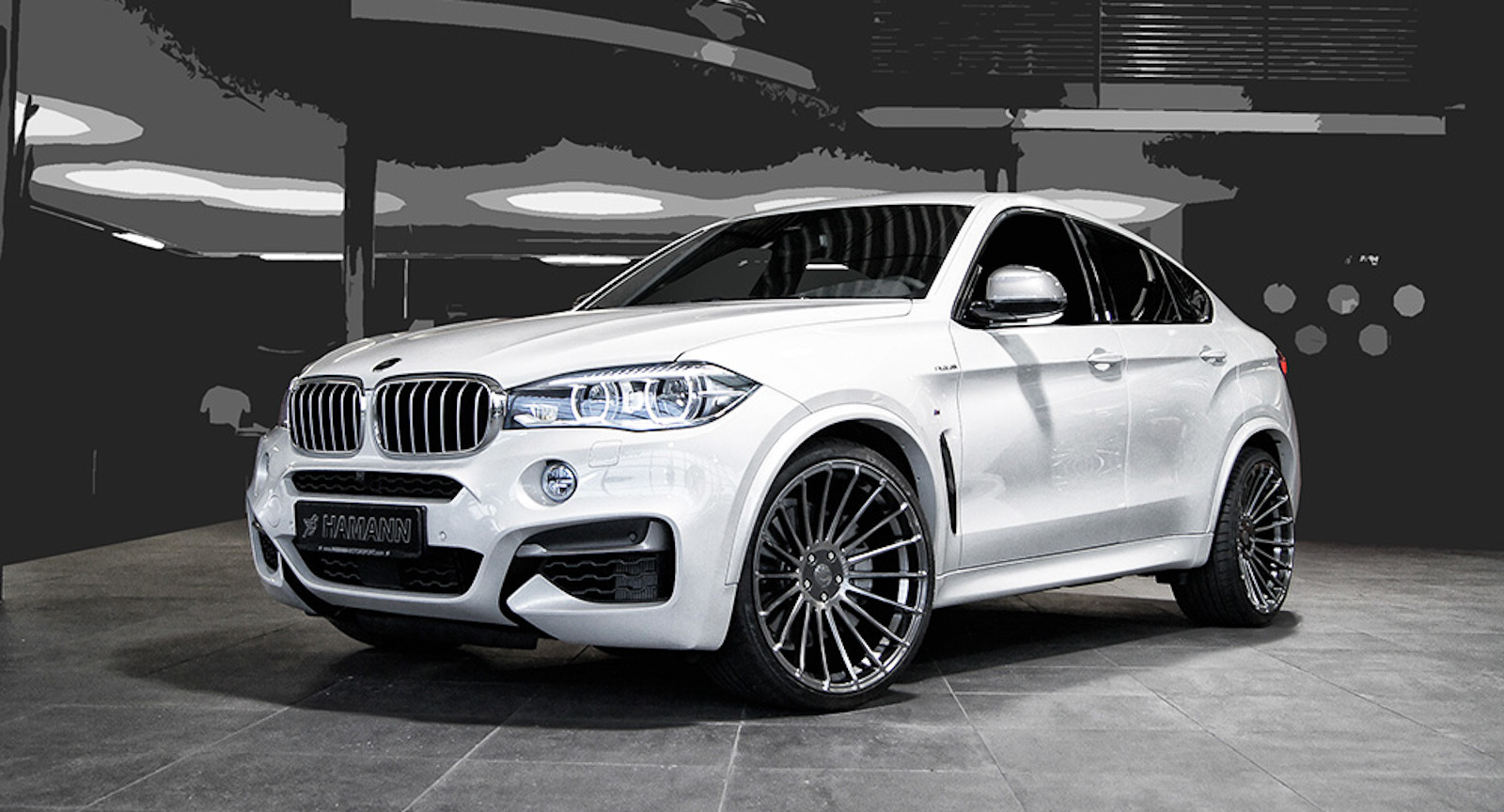hamann-x6-5-1