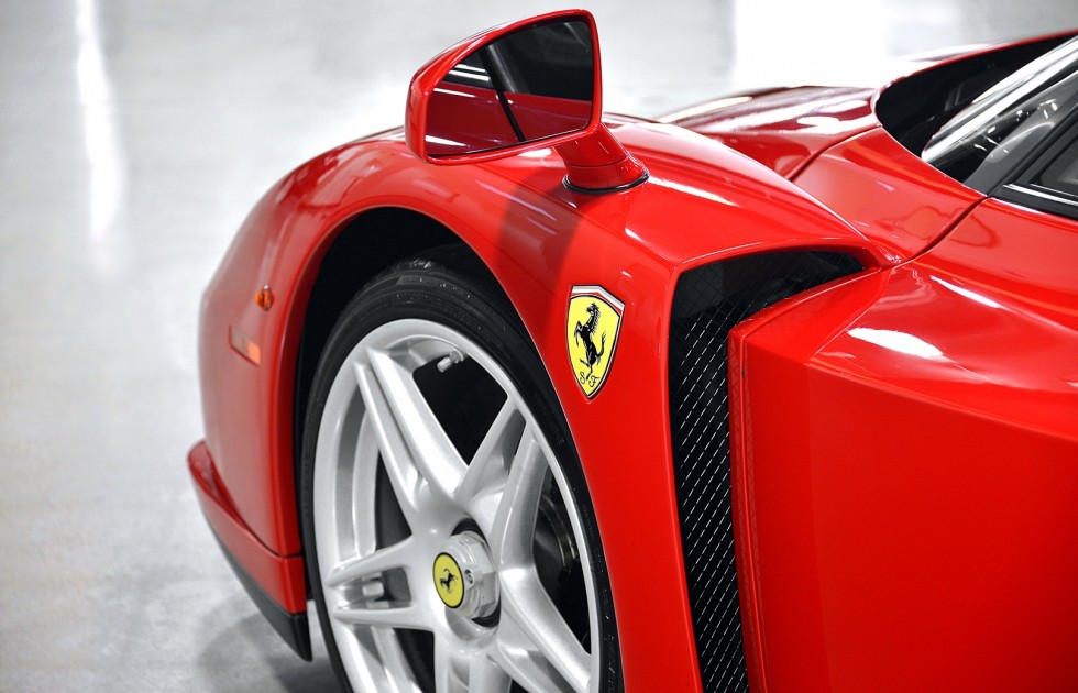 enzo2