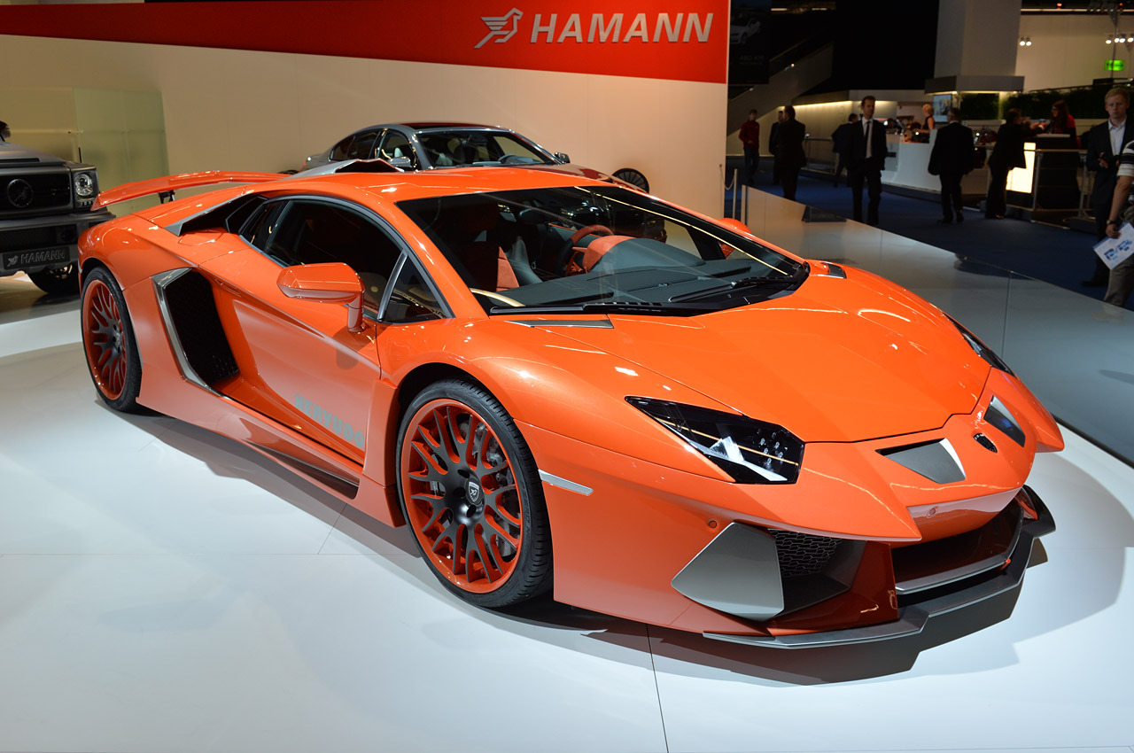 hamann-nervudo-frankfurt-2013-1-1