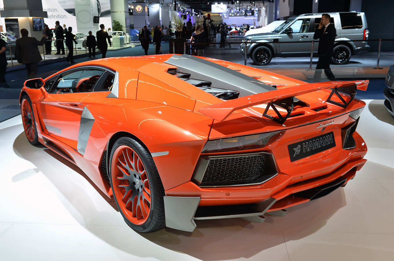 hamann-nervudo-frankfurt-2013-2-1