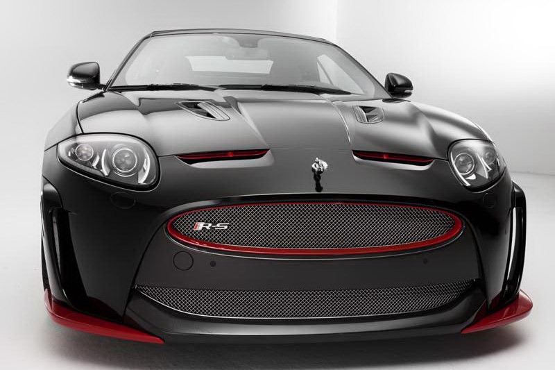arden-jaguar-4
