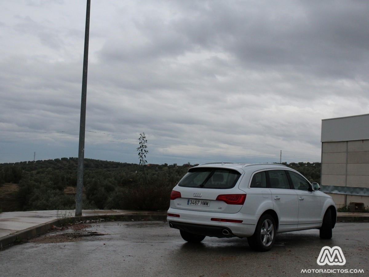 audi-q7 (41)
