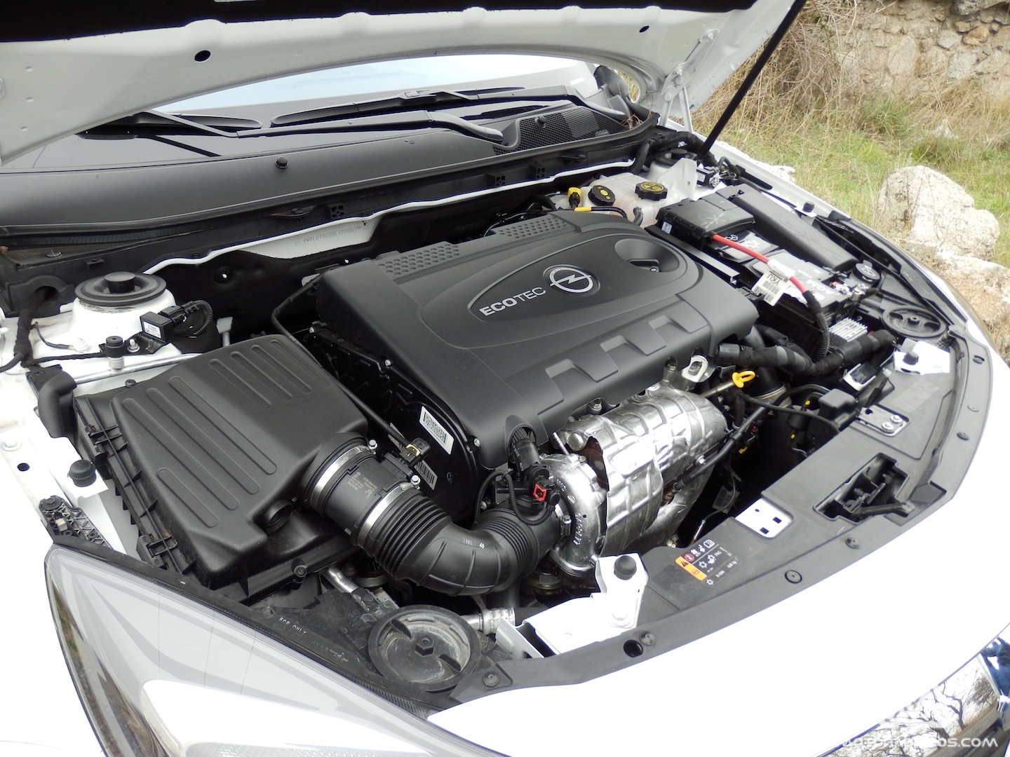 insignia_2014_pb070143_wt