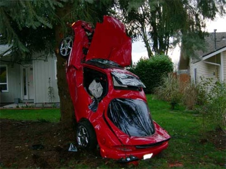 arbol_rx7_0.jpg