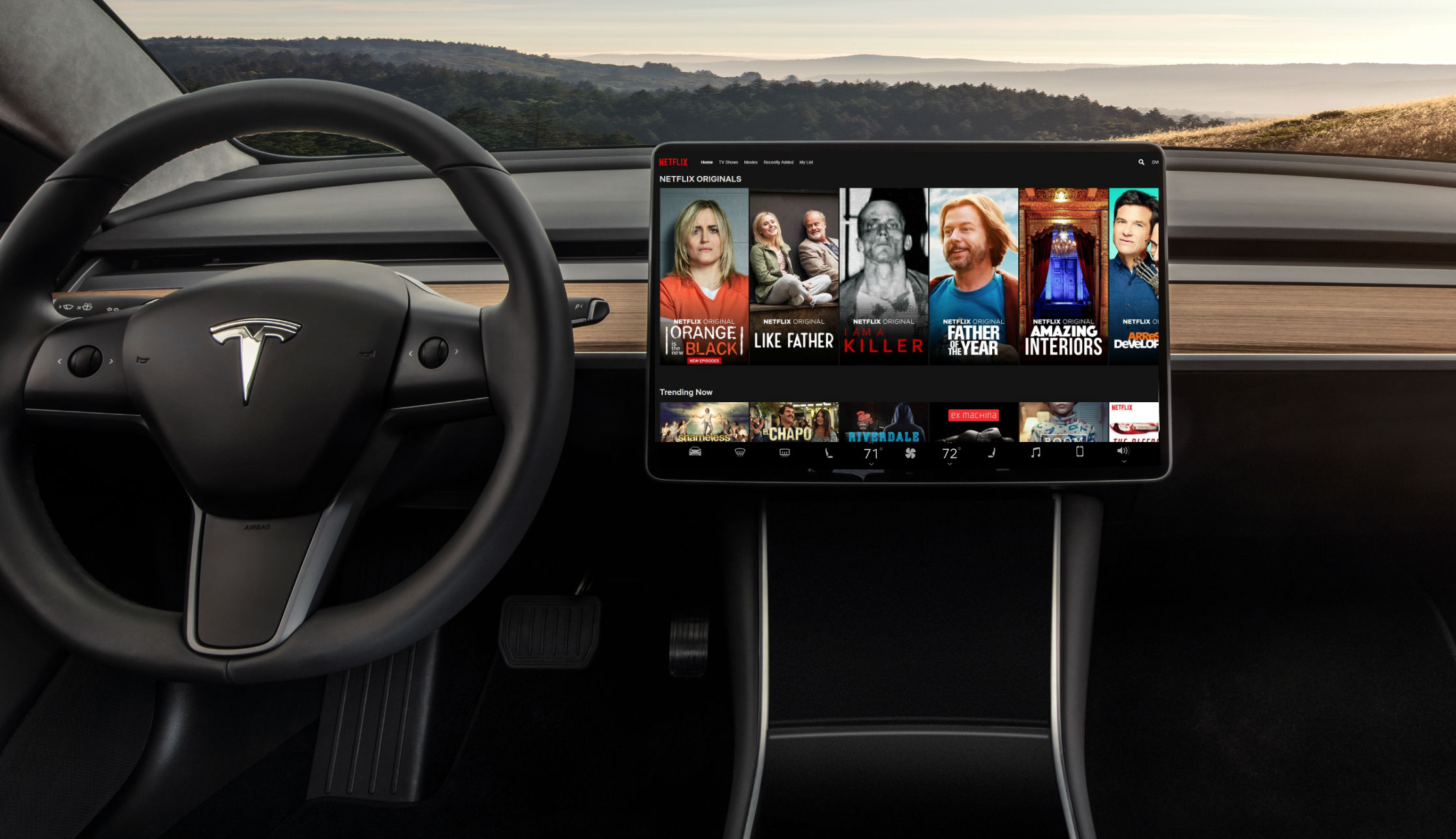 tesla-video-streaming-netflix