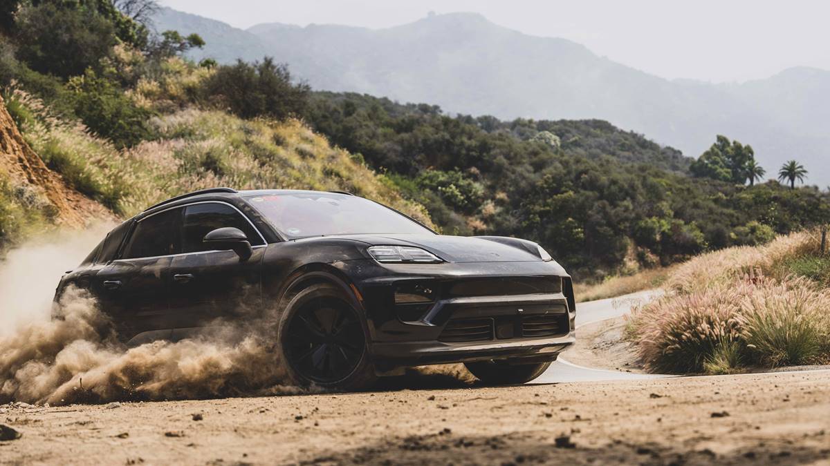Macan_Development_California4