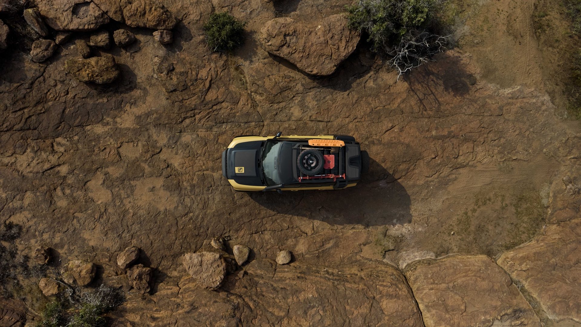defender trophy 21 6858188b4d742.jpg