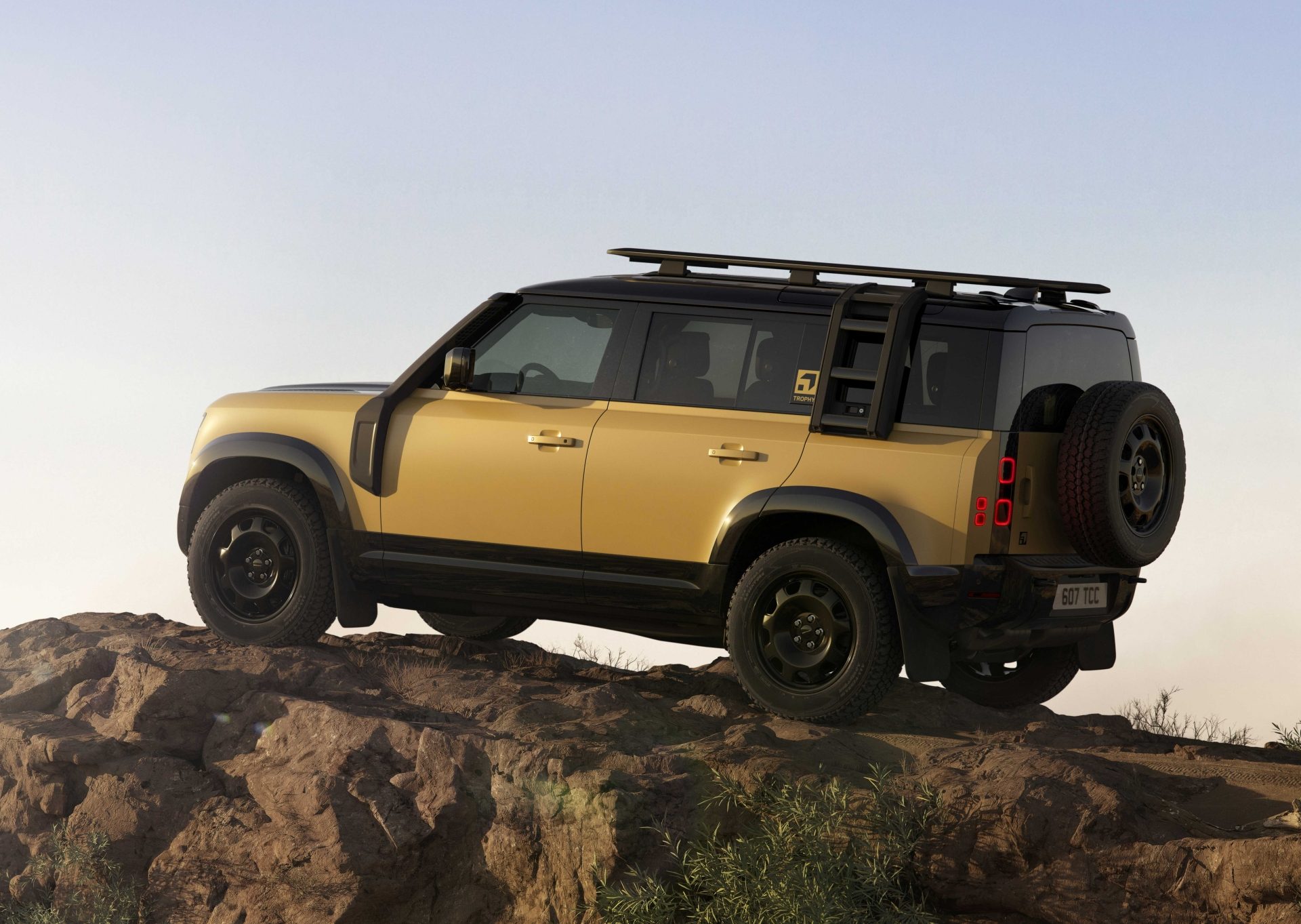 defender trophy 27 68581883dd0b1.jpg