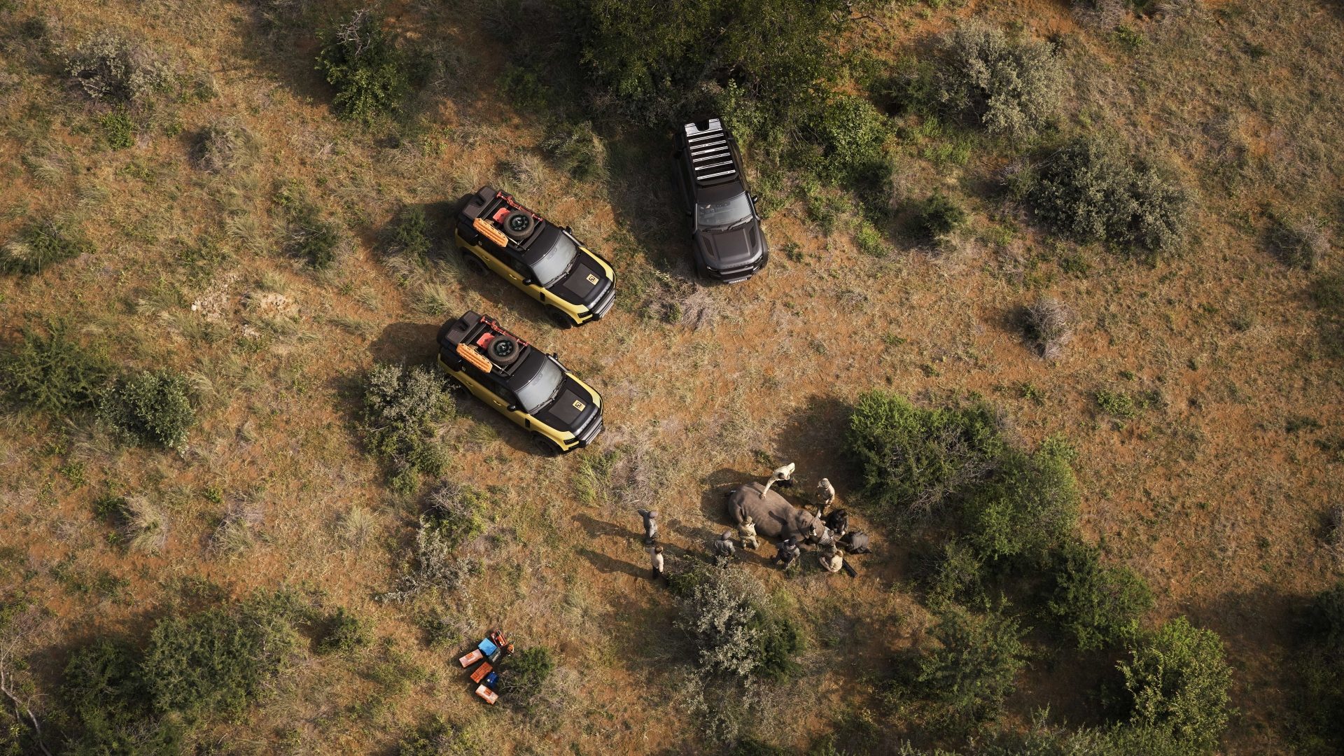 defender trophy 43 6858185a8d7d3.jpg