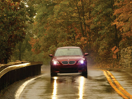 m5.jpg