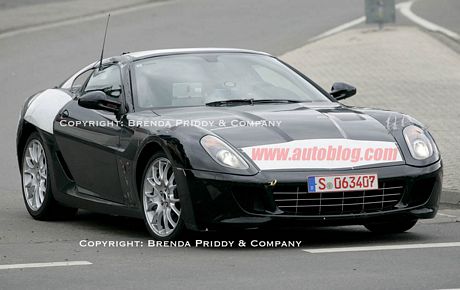 tn_w_ferraridinomule_priddy1.jpg