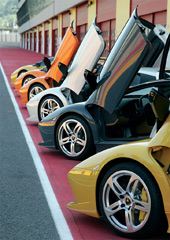 lp64006_221.jpg