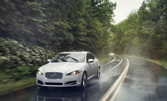 jaguar-3